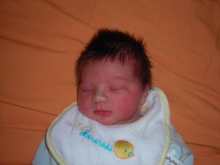 le petit lylian